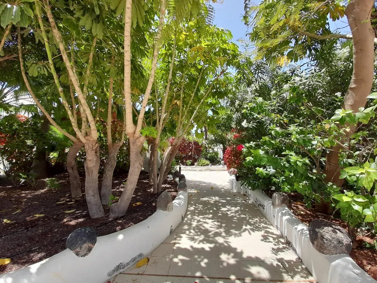 Parque Don Jose 389 Apartment Arona  Arona (Tenerife)