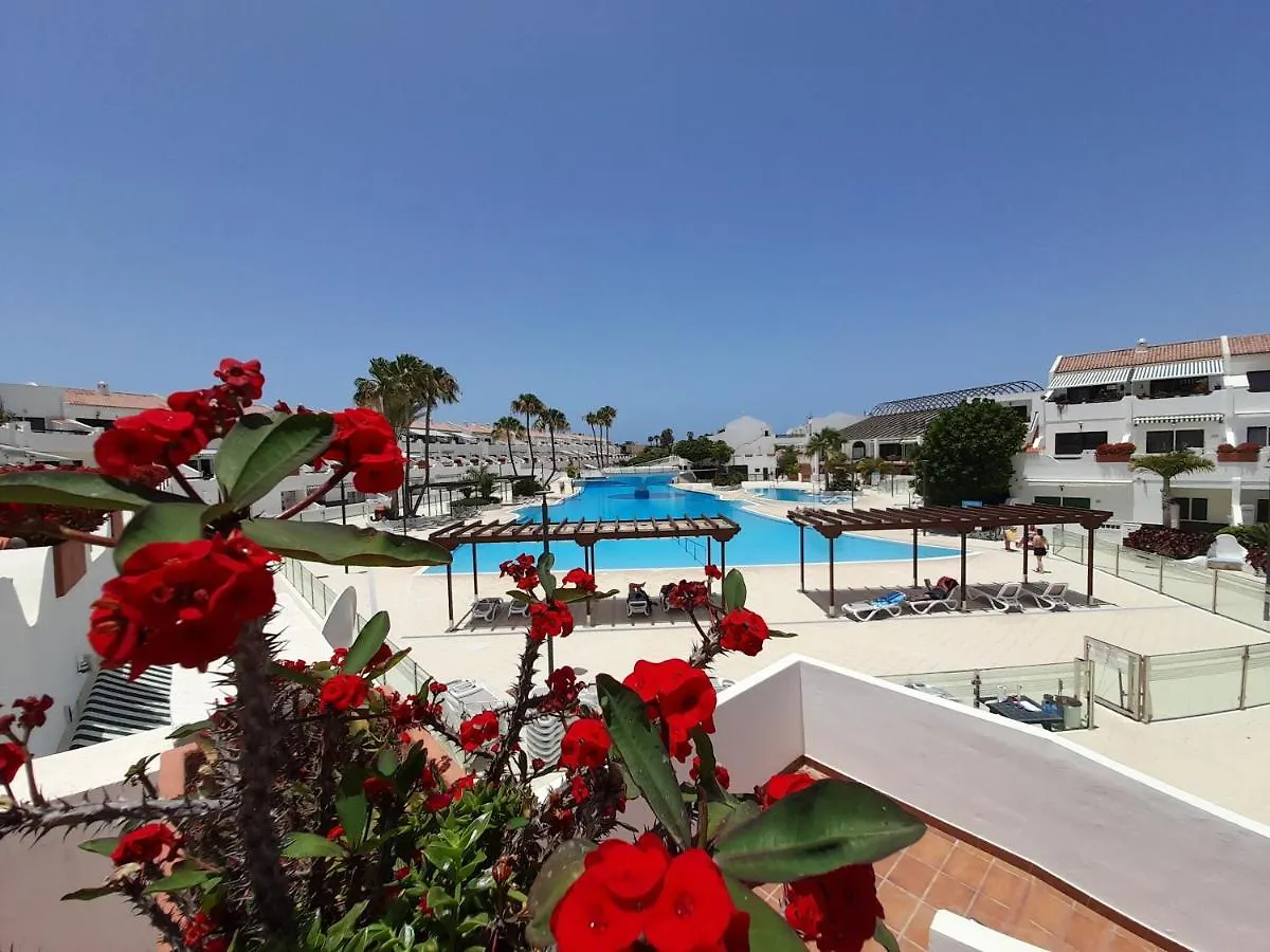 Parque Don Jose 389 Apartment Arona  0*, Arona (Tenerife) Spain
