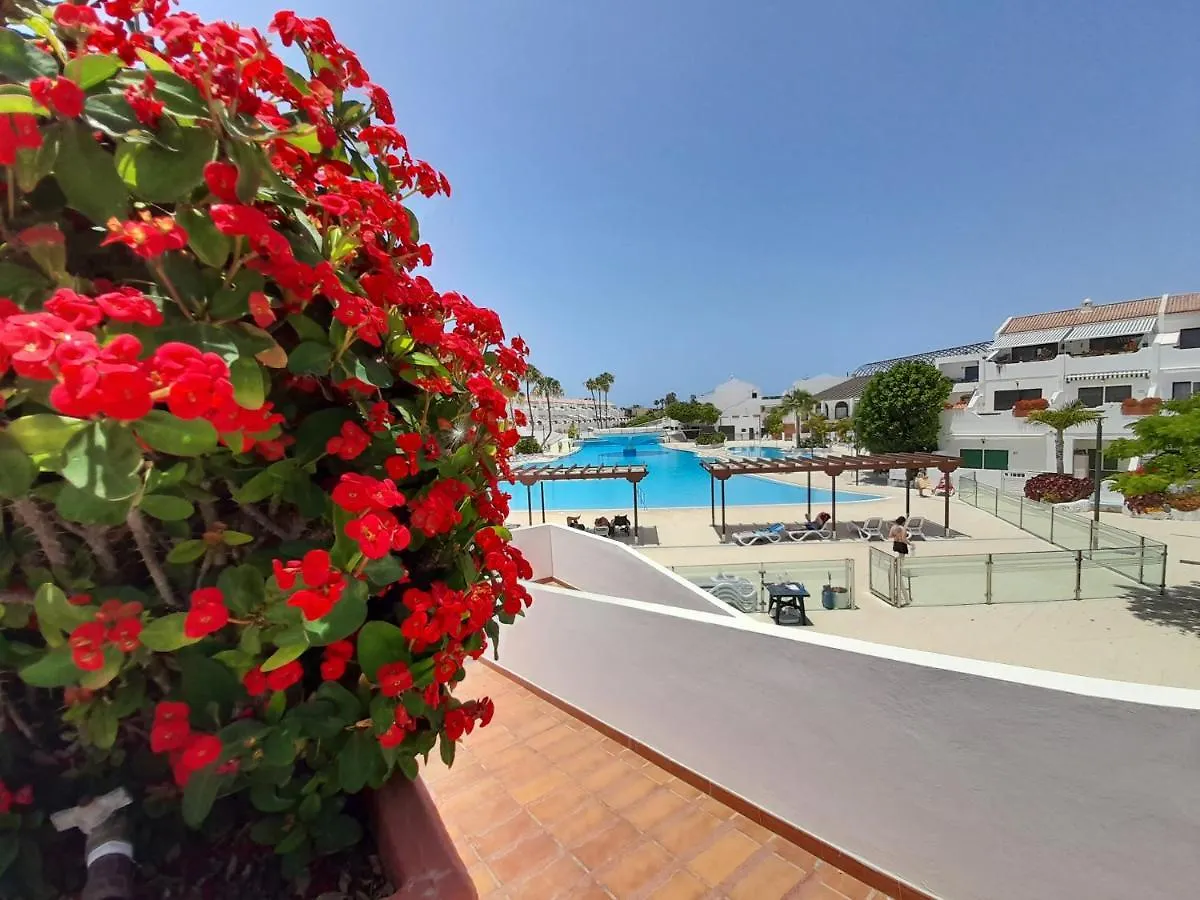 Parque Don Jose 389 Apartment Arona  Spain