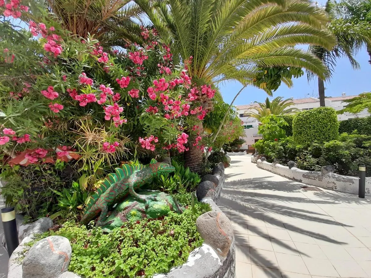 Apartament Parque Don Jose 389 Arona   Arona (Tenerife)